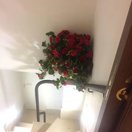 A Casa Di Kri * Selva Di Fasano