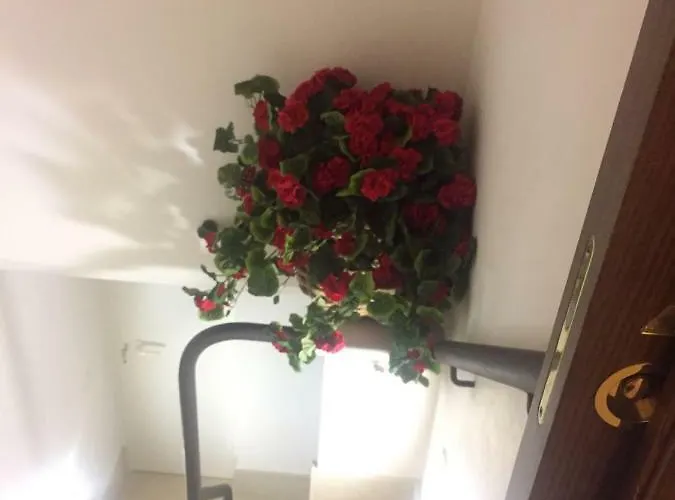A Casa Di Kri * Selva Di Fasano
